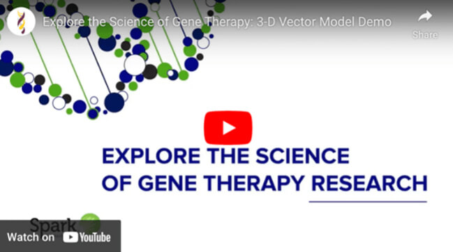 Play video: Explore the science of gene therapy research.