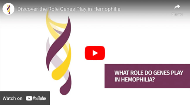 Play video: What role do genes play in hemophilia?